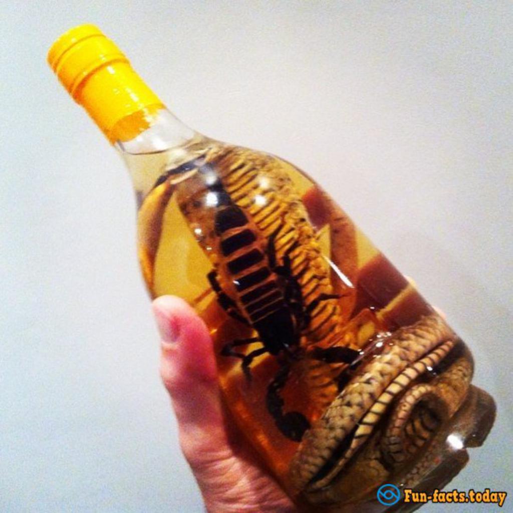 The Most Unusual Alcoholic Drinks In The World