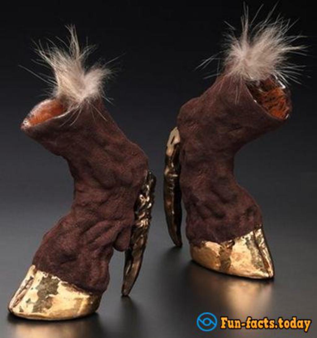 Lady GaGa Choice: Shoes From Animal Carcasses