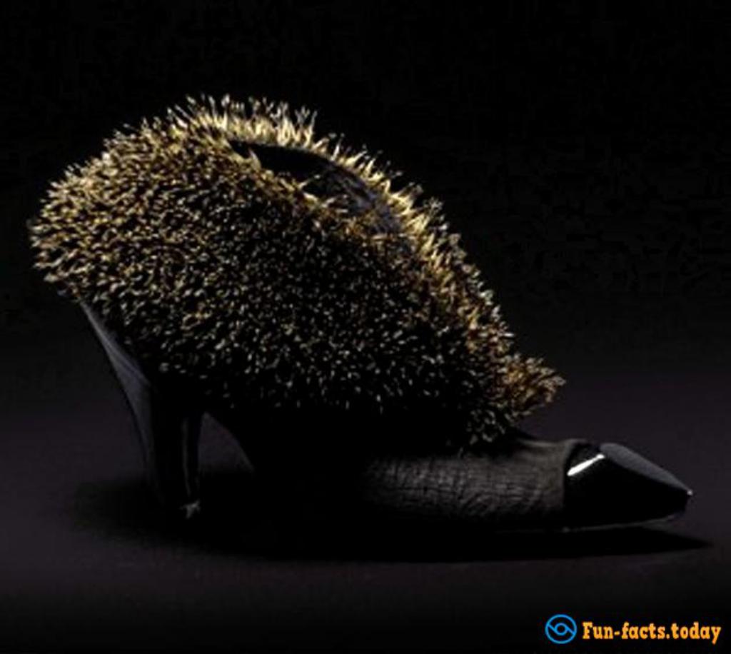 Lady GaGa Choice: Shoes From Animal Carcasses