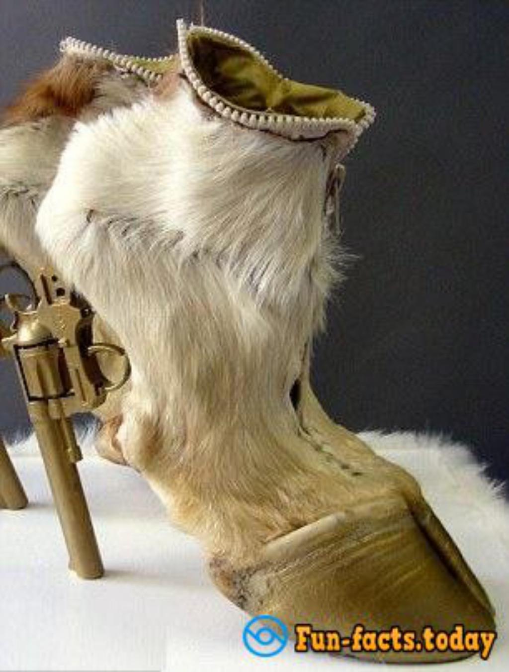 Lady GaGa Choice: Shoes From Animal Carcasses