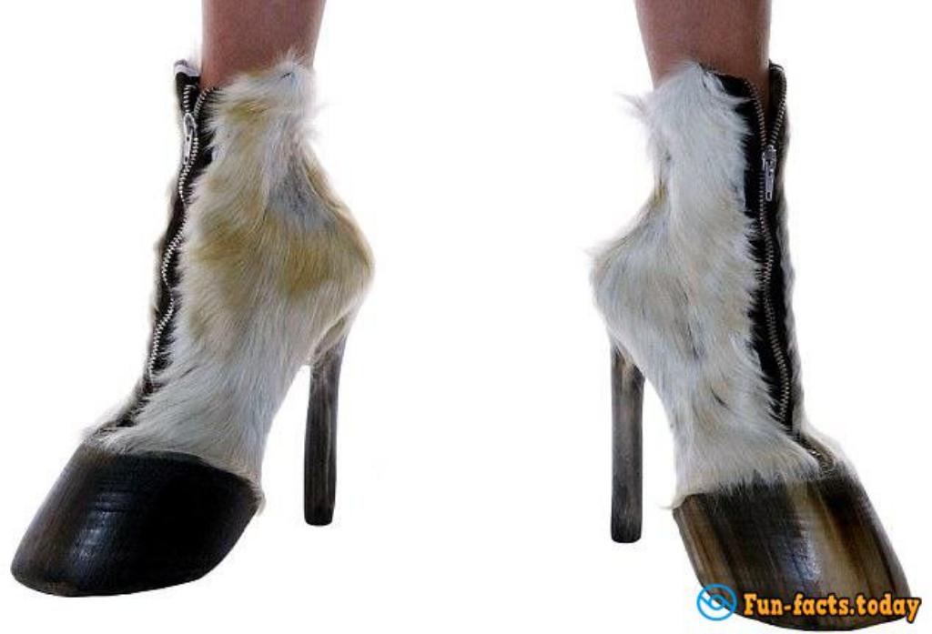 Lady GaGa Choice: Shoes From Animal Carcasses