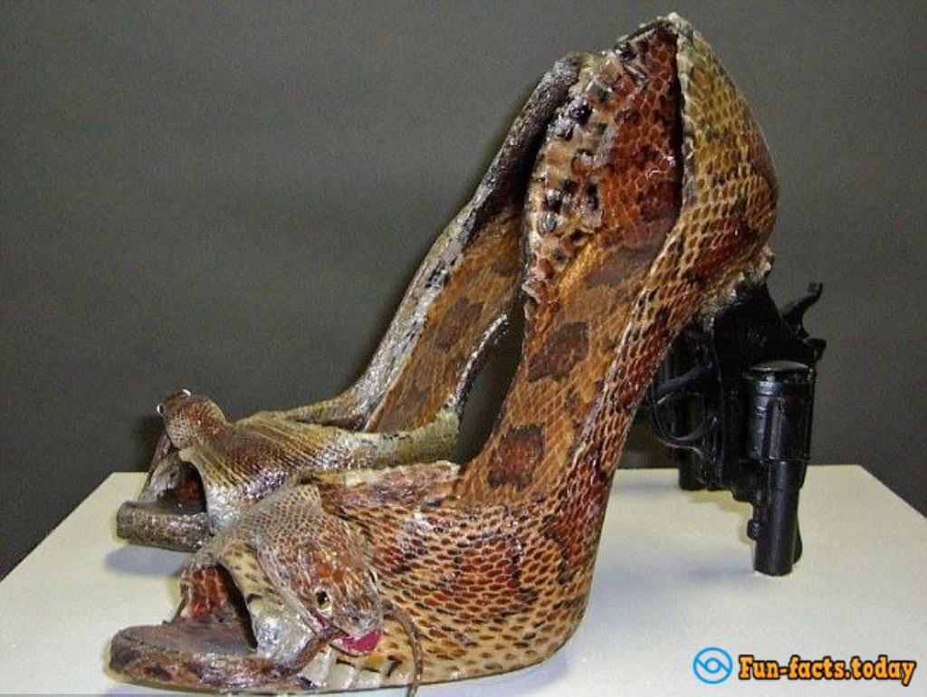 Lady GaGa Choice: Shoes From Animal Carcasses