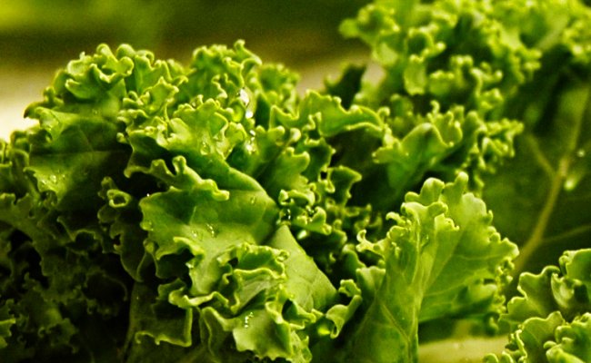 6 Awesome Vegetables To Keep Your Teeth Healthy