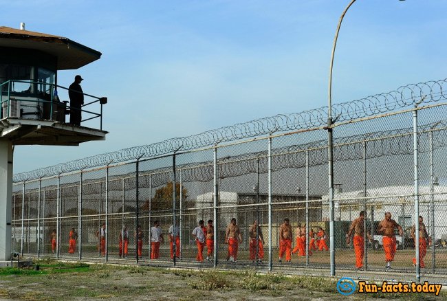 The Craziest Facts About Prison Break