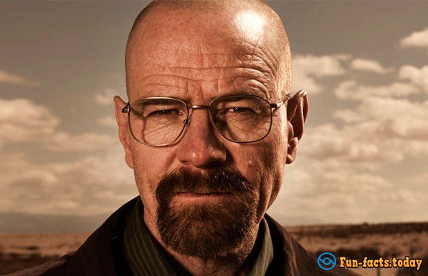 Crazy Facts About Bryan Cranston