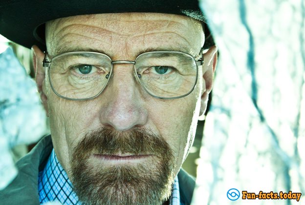 Crazy Facts About Bryan Cranston