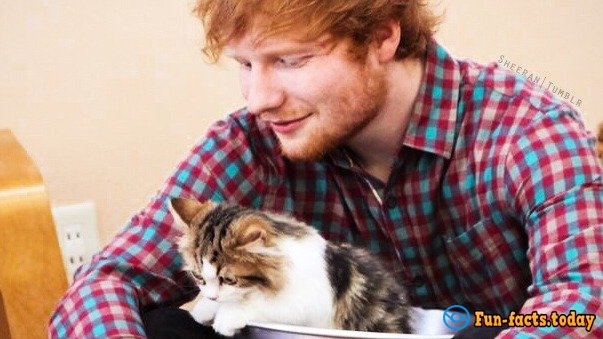 Awesome Facts About Ed Sheeran