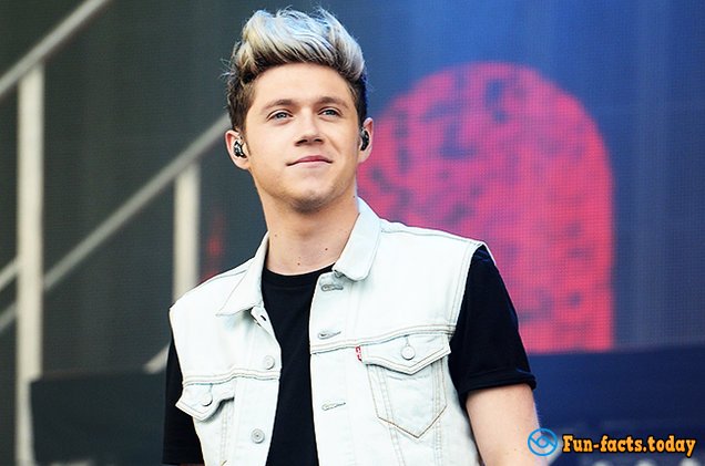 Awesome Facts About Niall Horan