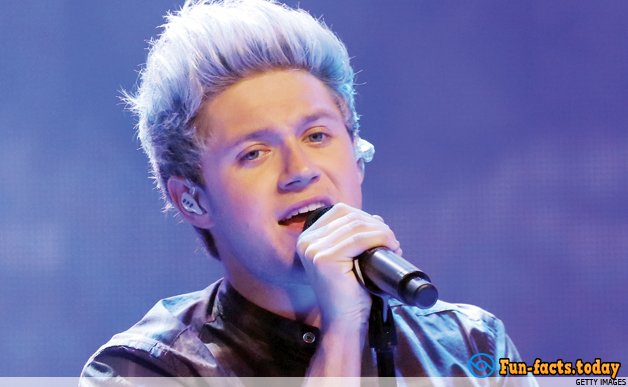 Awesome Facts About Niall Horan