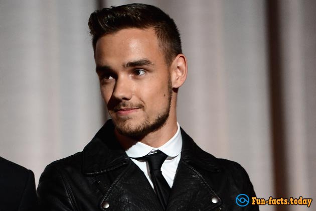 Interesting Facts About Liam Payne