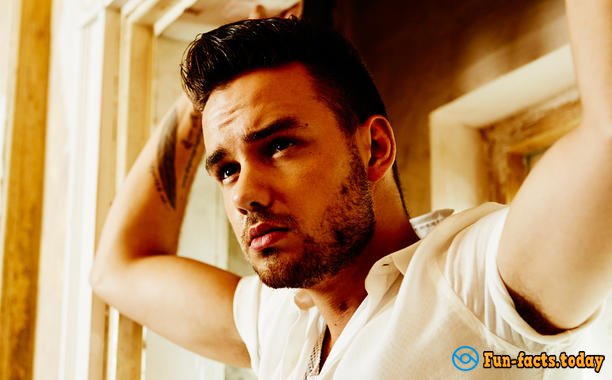 Interesting Facts About Liam Payne