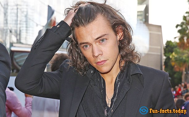 Interesting Facts About Harry Styles