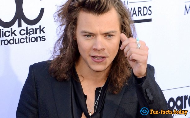 Interesting Facts About Harry Styles