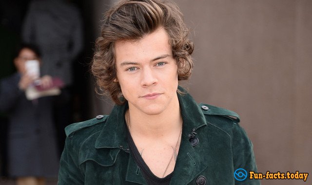 Interesting Facts About Harry Styles