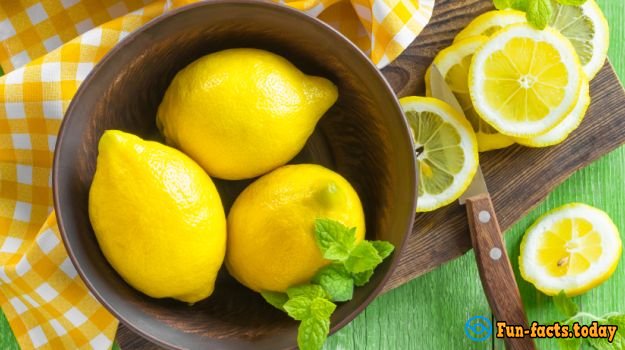 Fun Facts About Lemons