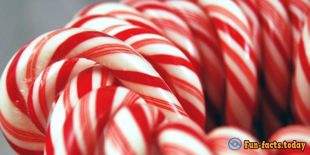 Fun Facts About Candy Cane