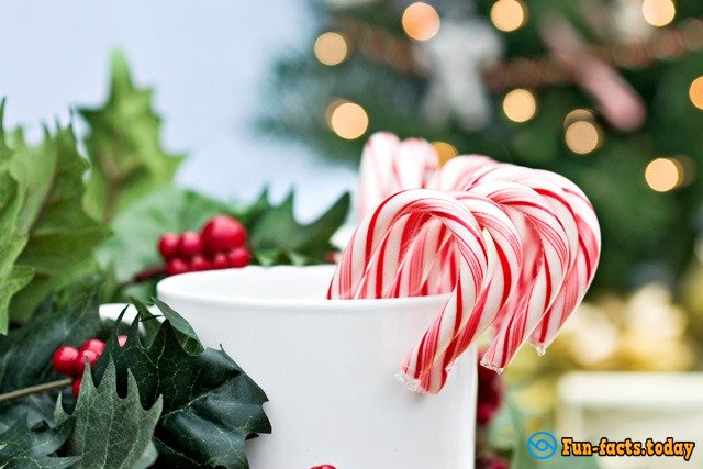 Fun Facts About Candy Cane