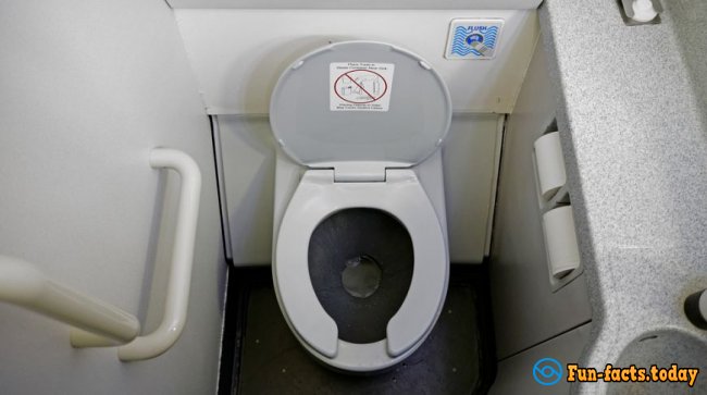 When You're in the sky: 8 fun facts about restrooms in airplanes, which you did not know