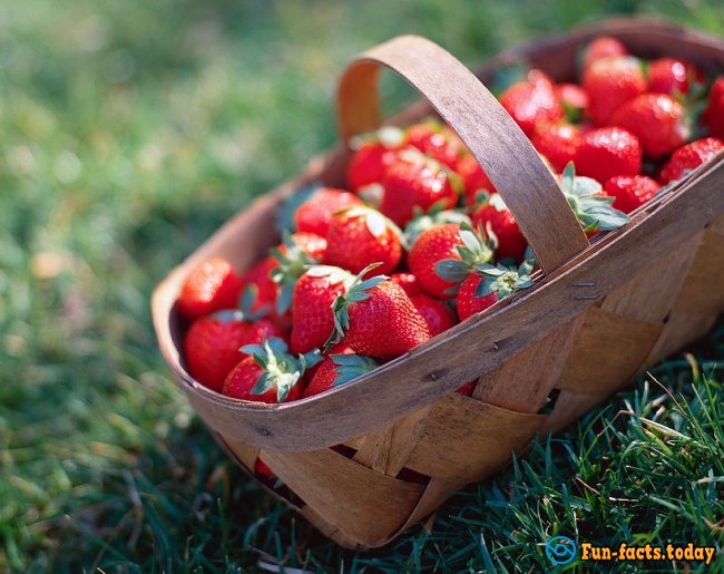 The Most Amazing Facts About Strawberries