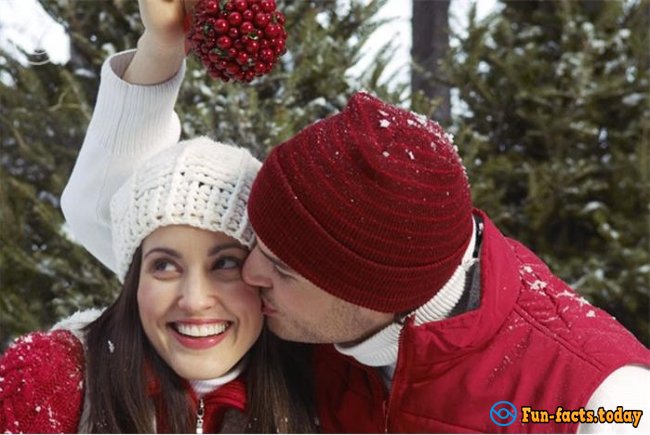 Amazing Facts About Mistletoe