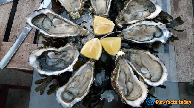 Kingdom of wine, truffles and oysters: Top 7 dishes that everyone should try in France