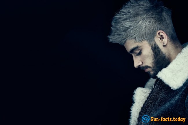 Amazing Facts About Zayn Malik