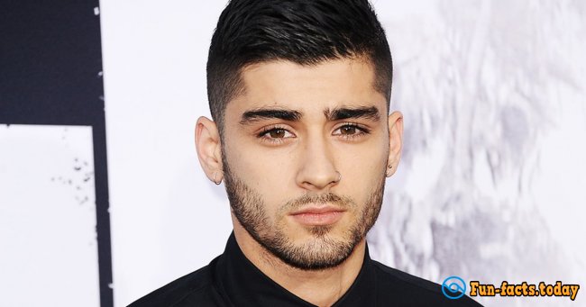 Amazing Facts About Zayn Malik