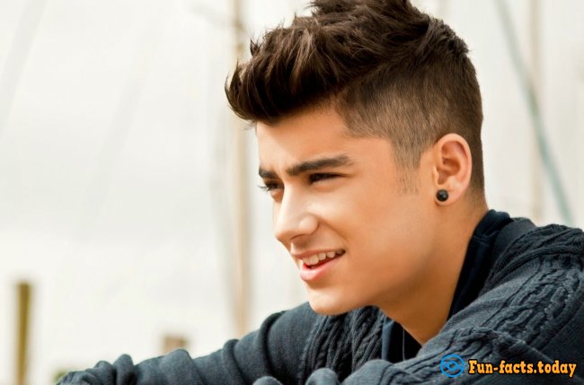 Amazing Facts About Zayn Malik