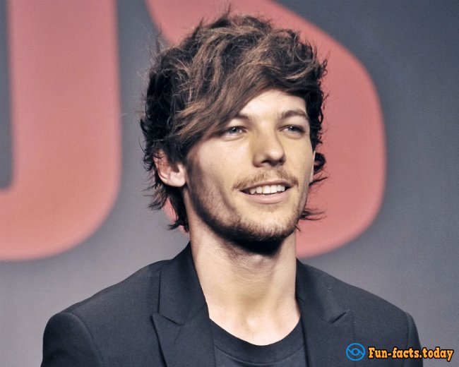 Awesome Facts About Louis Tomlinson