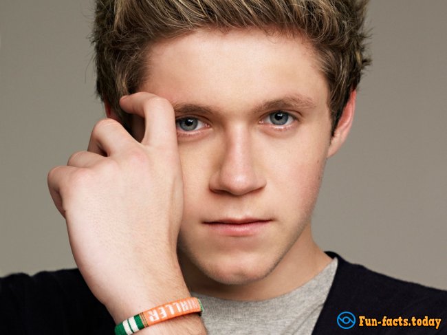 Awesome Facts About Niall Horan