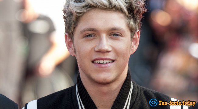 Awesome Facts About Niall Horan