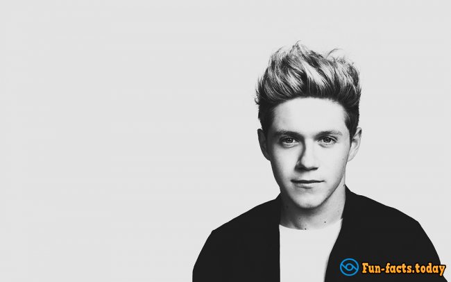 Awesome Facts About Niall Horan