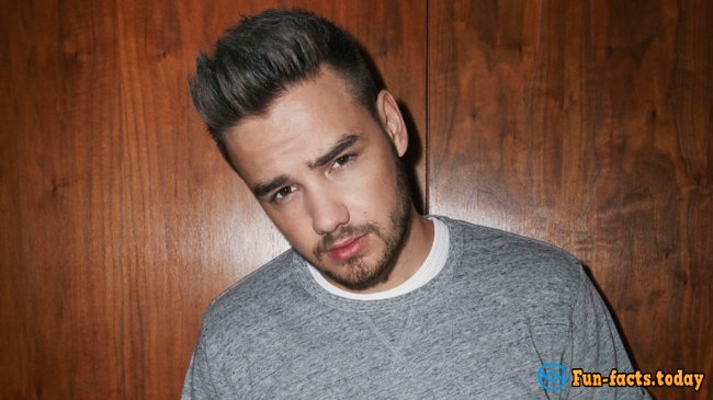 Interesting Facts About Liam Payne