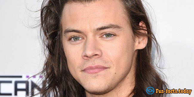 Interesting Facts About Harry Styles