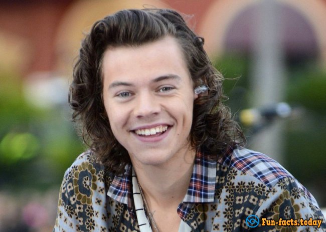 Interesting Facts About Harry Styles