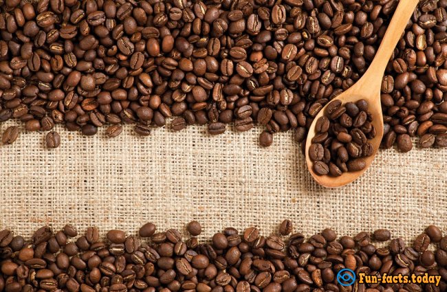 Fun Facts About Coffee