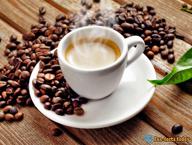 Fun Facts About Coffee