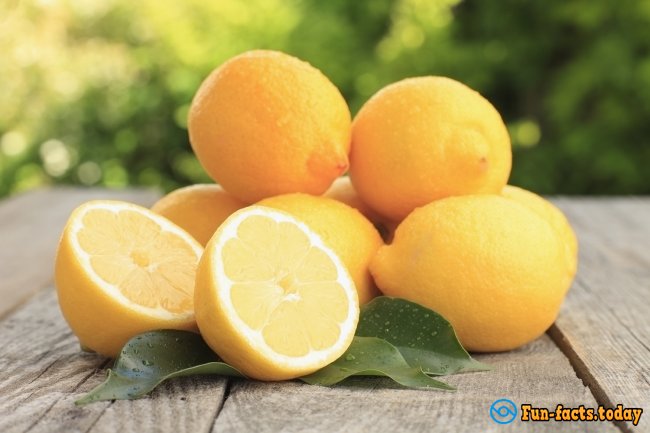 Fun Facts About Lemons