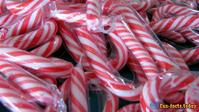 Fun Facts About Candy Cane