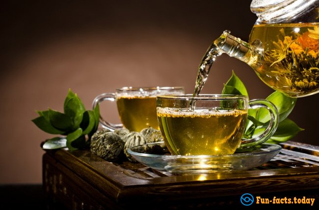Interesting Facts About Green Tea