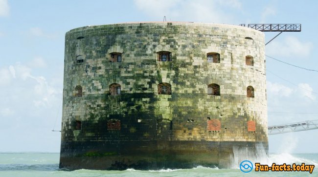 Treasure Island: 10 Interesting Facts From The Fort Boyard's Life