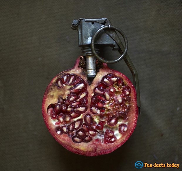 Photographer Shoots Fruits and Vegetables in Absolutely New Role for Them