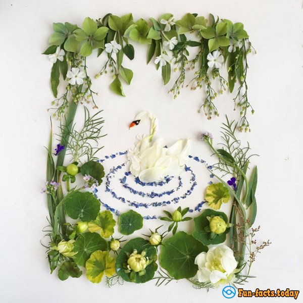 Mother Creates From Flowers and Leaves Fabulous Collage for Her Children