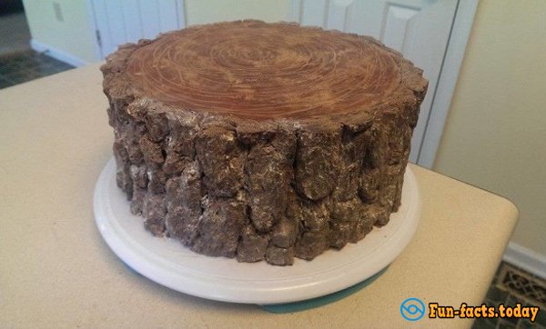 11 Cakes of Amazing Forms that Can Trick Anyone