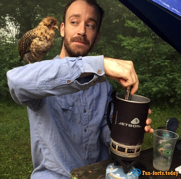 Man Saved Chicken from Certain Death and Now Traveling With Him around the World