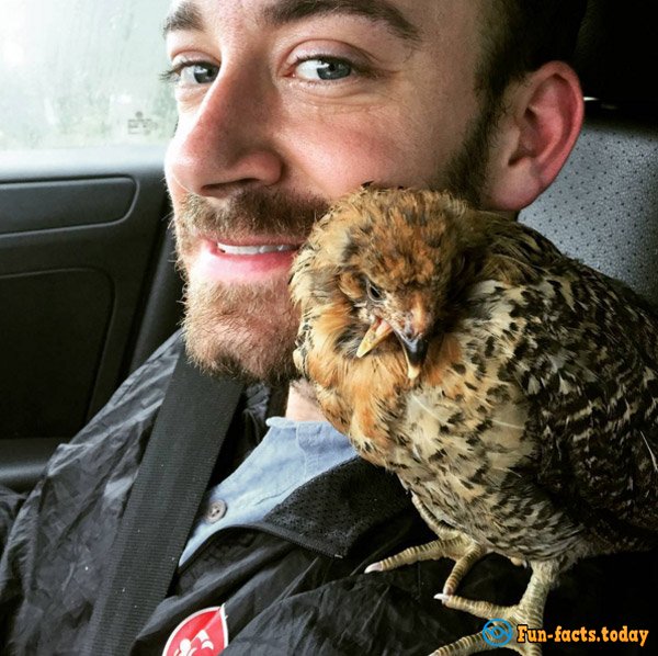 Man Saved Chicken from Certain Death and Now Traveling With Him around the World