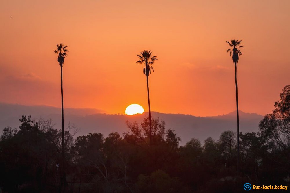 Top 5 Places to Meet Sunset in Los Angeles