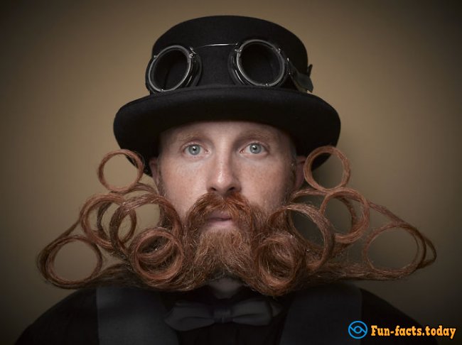 10 Incredibly Hairstyles for Beard and Mustache on a Man's Beauty Contest