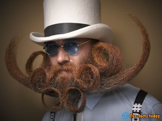 10 Incredibly Hairstyles for Beard and Mustache on a Man's Beauty Contest