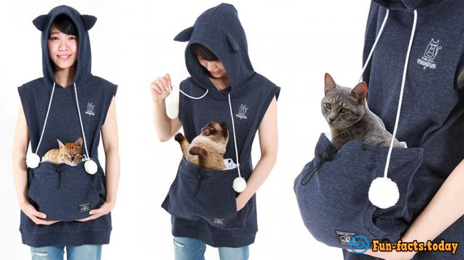 Now, He Is Always With You: In Japan Come Up Clothes with Carrying For Cats